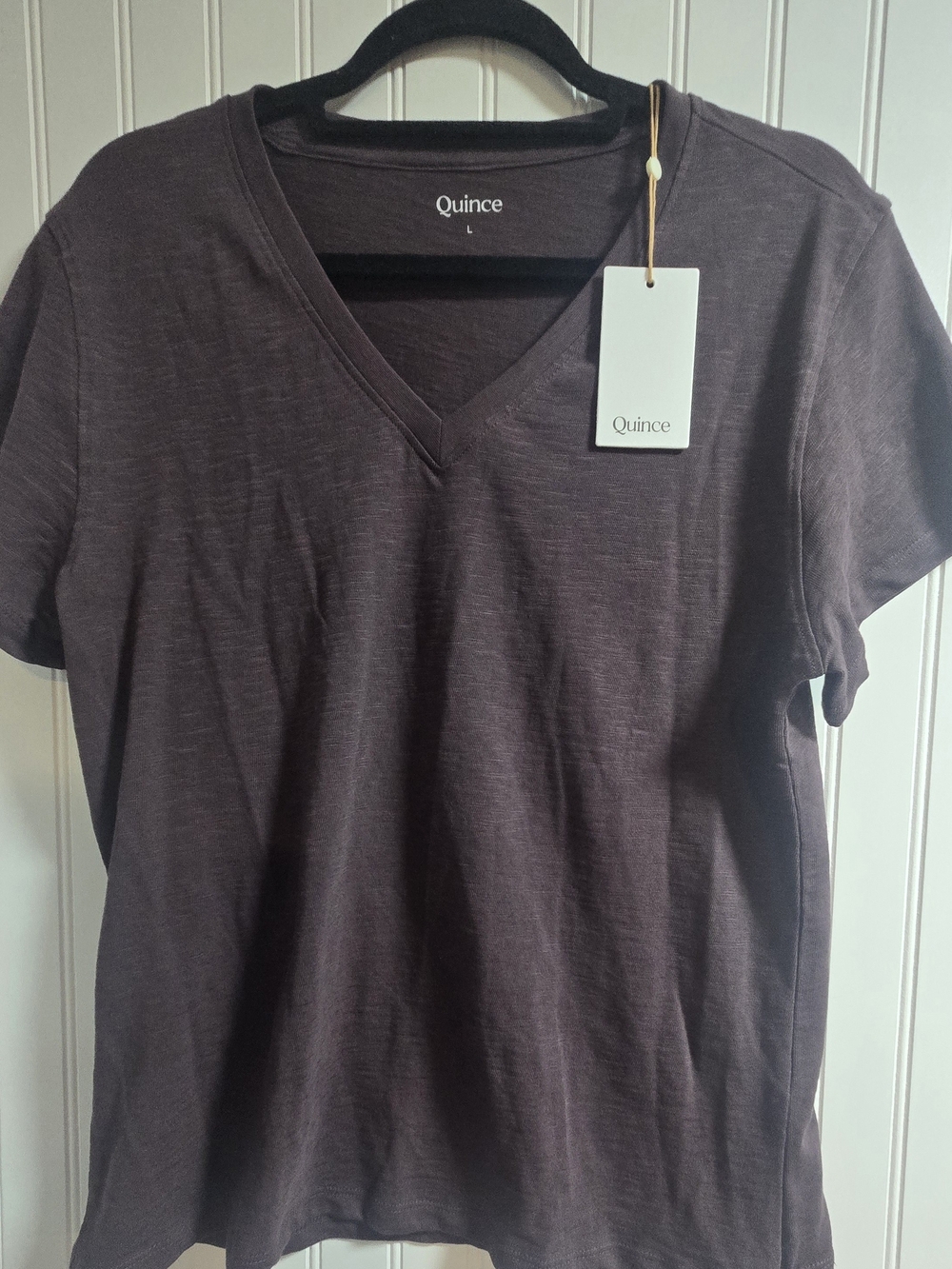 Quince Women's V-Neck T-Shirt in Dark Brown